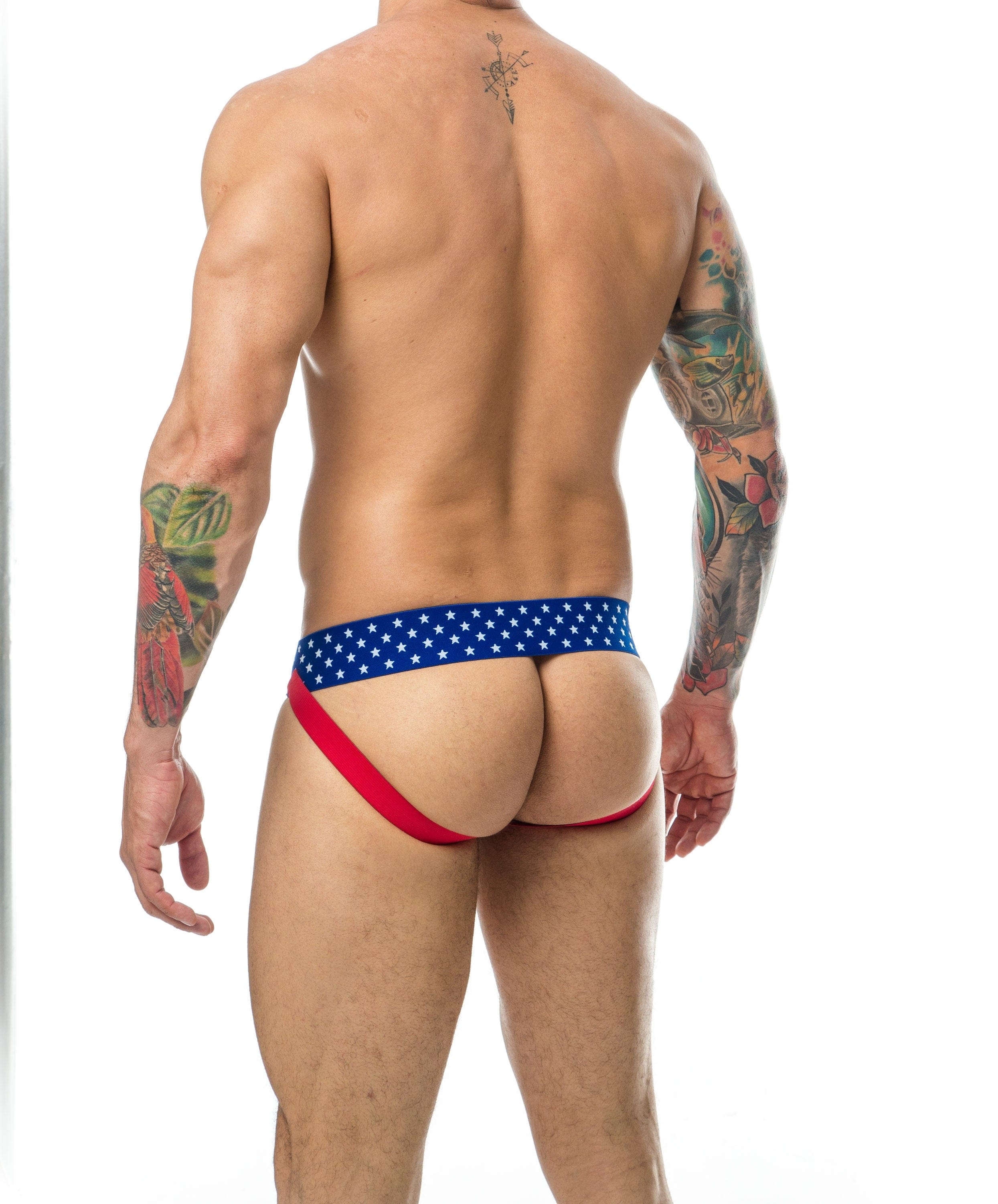 Male Basics Patriot 三款图案性感男士护裆内裤