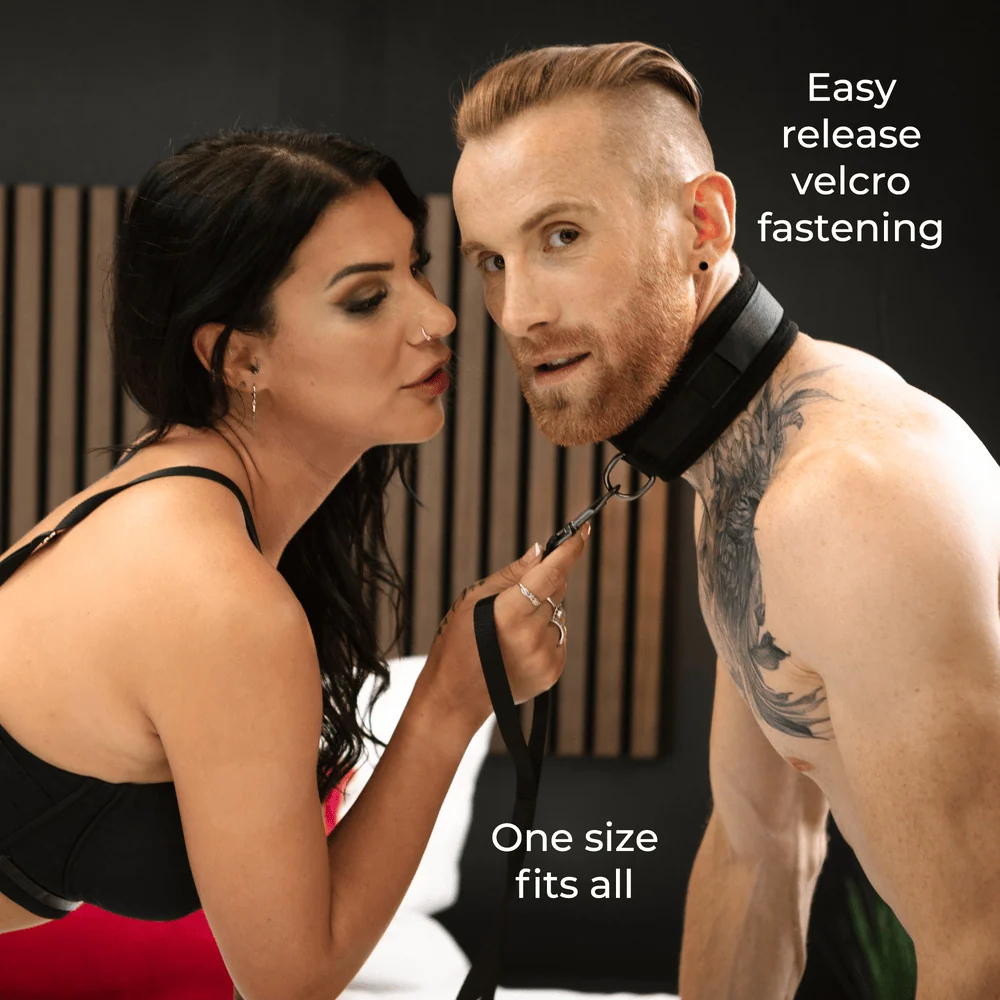 Sei Mio Take the Lead Padded Collar and Detachable Leash Set