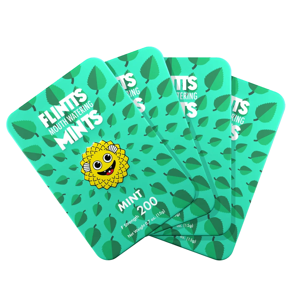 Flintts Cinnamon Ginger Mints with Warming Spice