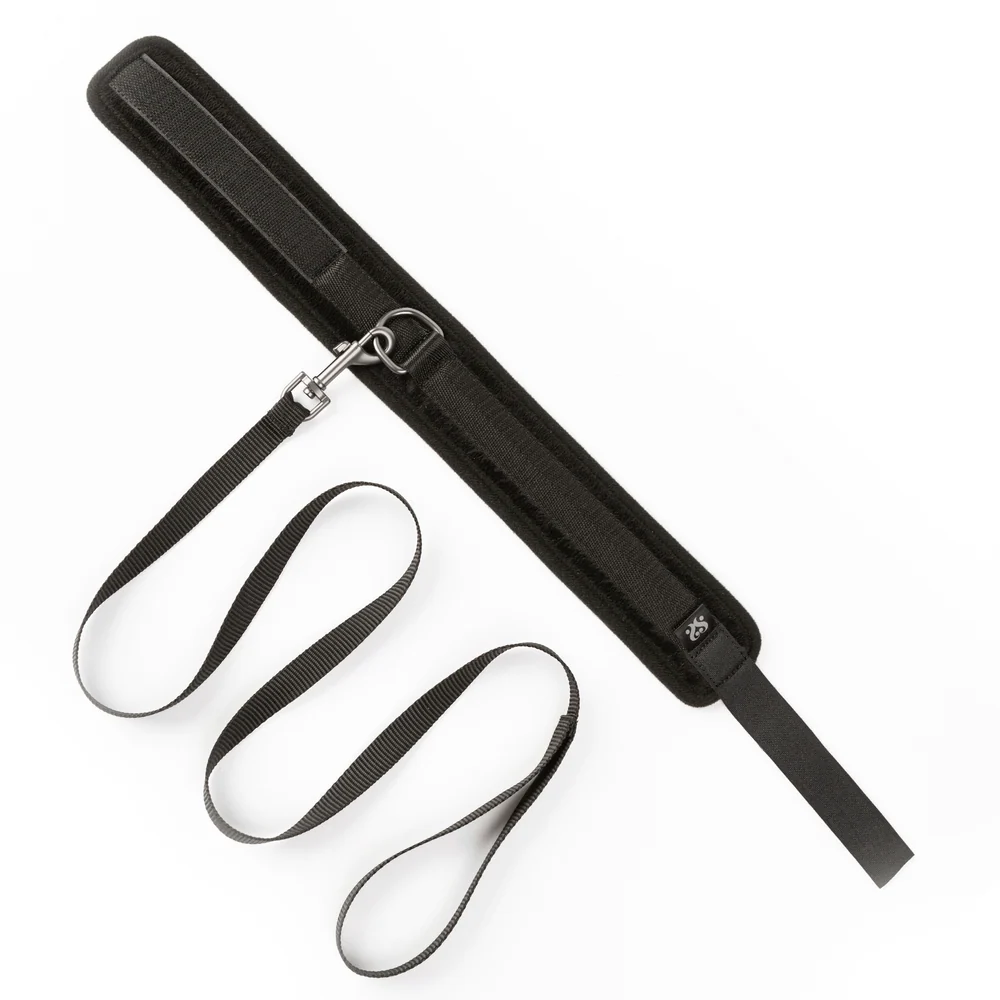 Sei Mio Take the Lead Padded Collar and Detachable Leash Set
