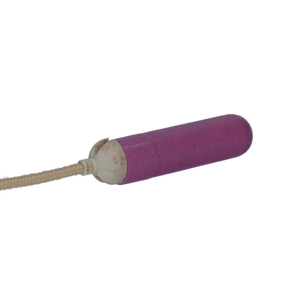 Gaia Eco Delight Purple Bullet Vibe with 10 Modes