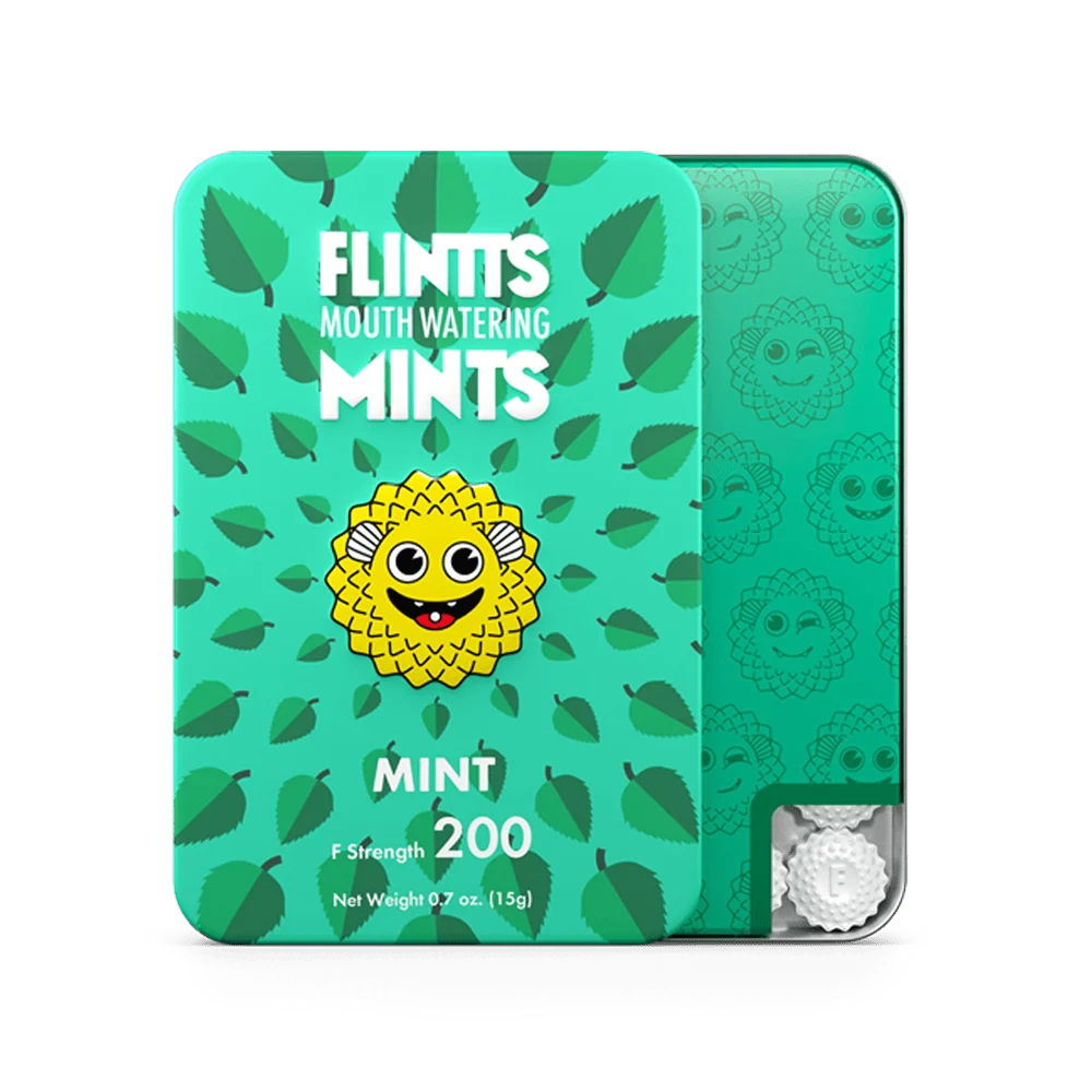Flintts Cinnamon Ginger Mints with Warming Spice