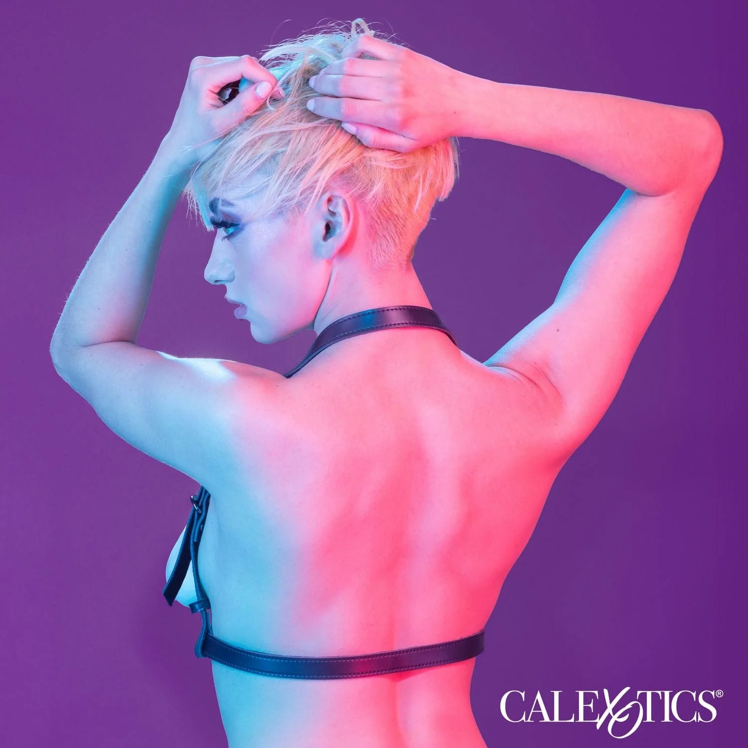 Euphoria Collection Halter Buckle Plus Size Harness