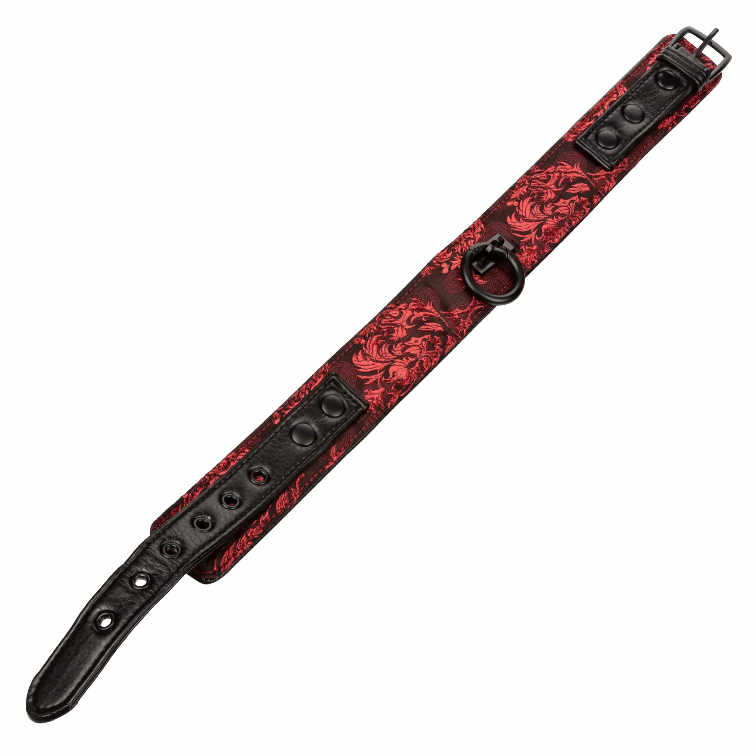 Scandal Collar with Leash for Restraint and Fetish Play