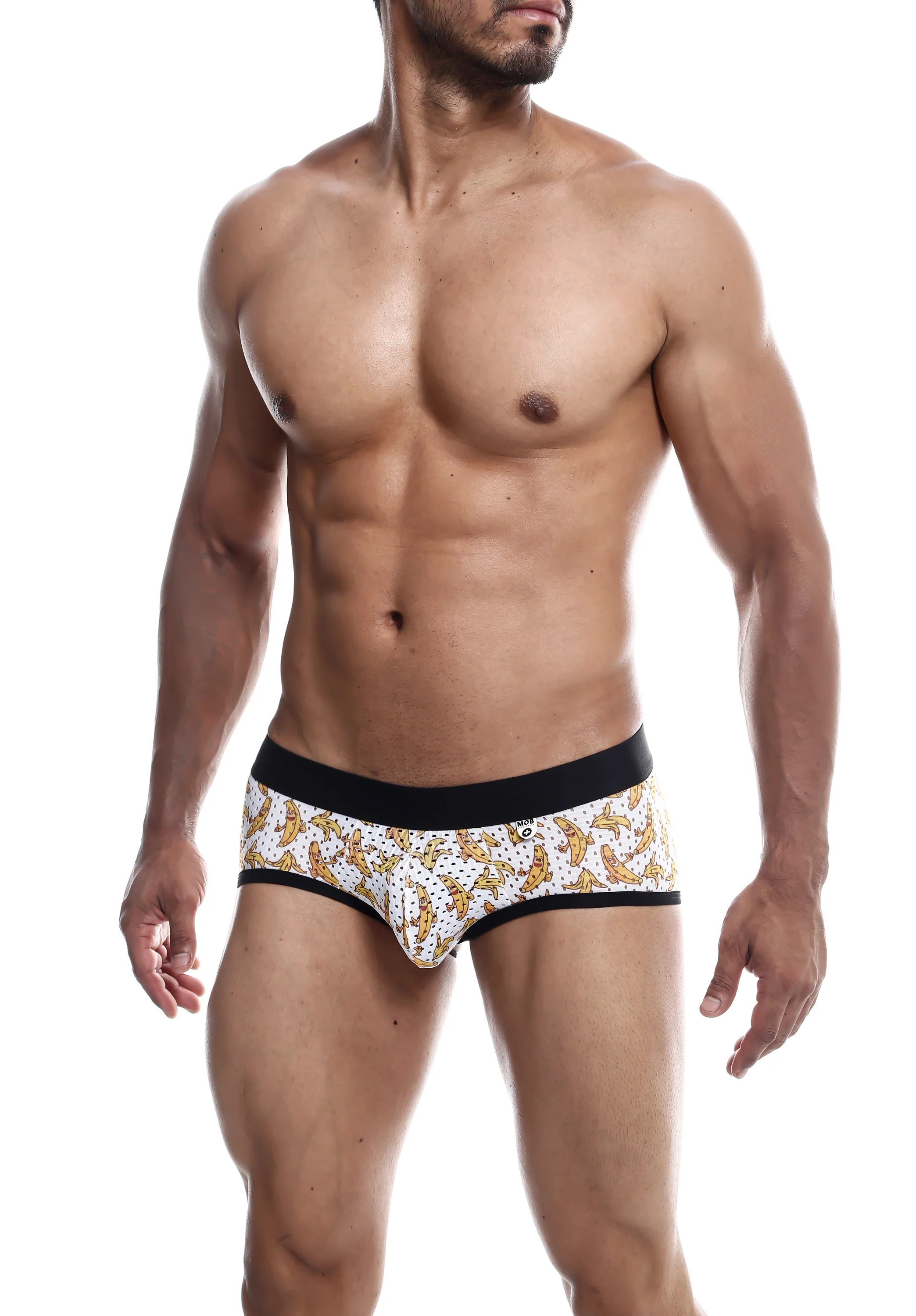 Male Basics Aero Men's Briefs in Soft Moisture-Wicking Fabric