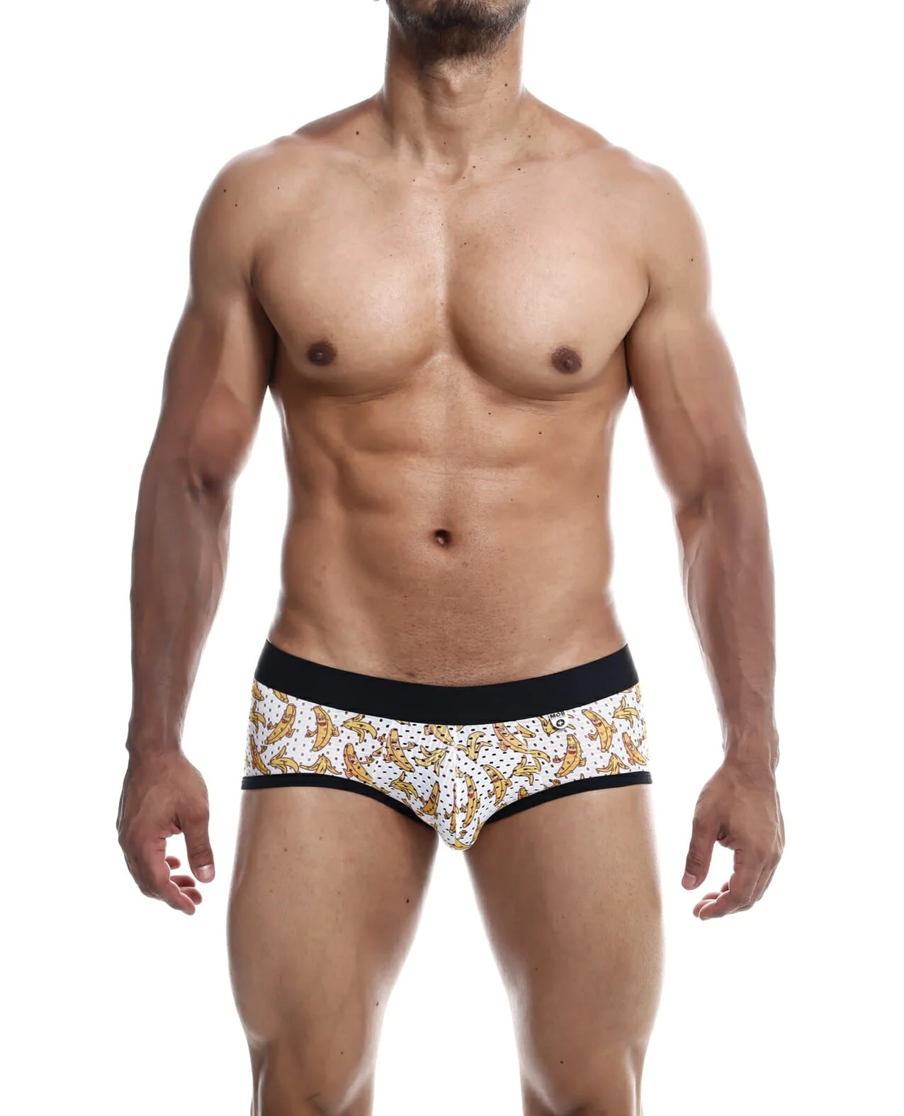 Male Basics Aero Men's Briefs in Soft Moisture-Wicking Fabric