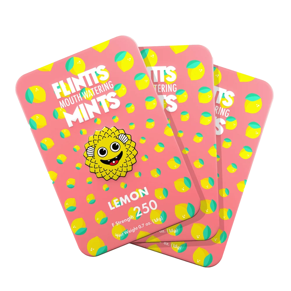 Flintts Cinnamon Ginger Mints with Warming Spice