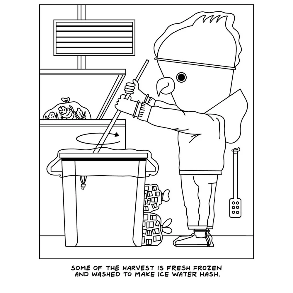 A Visit to the Cannabis Farm Adult Coloring Book by Brian Box Brown