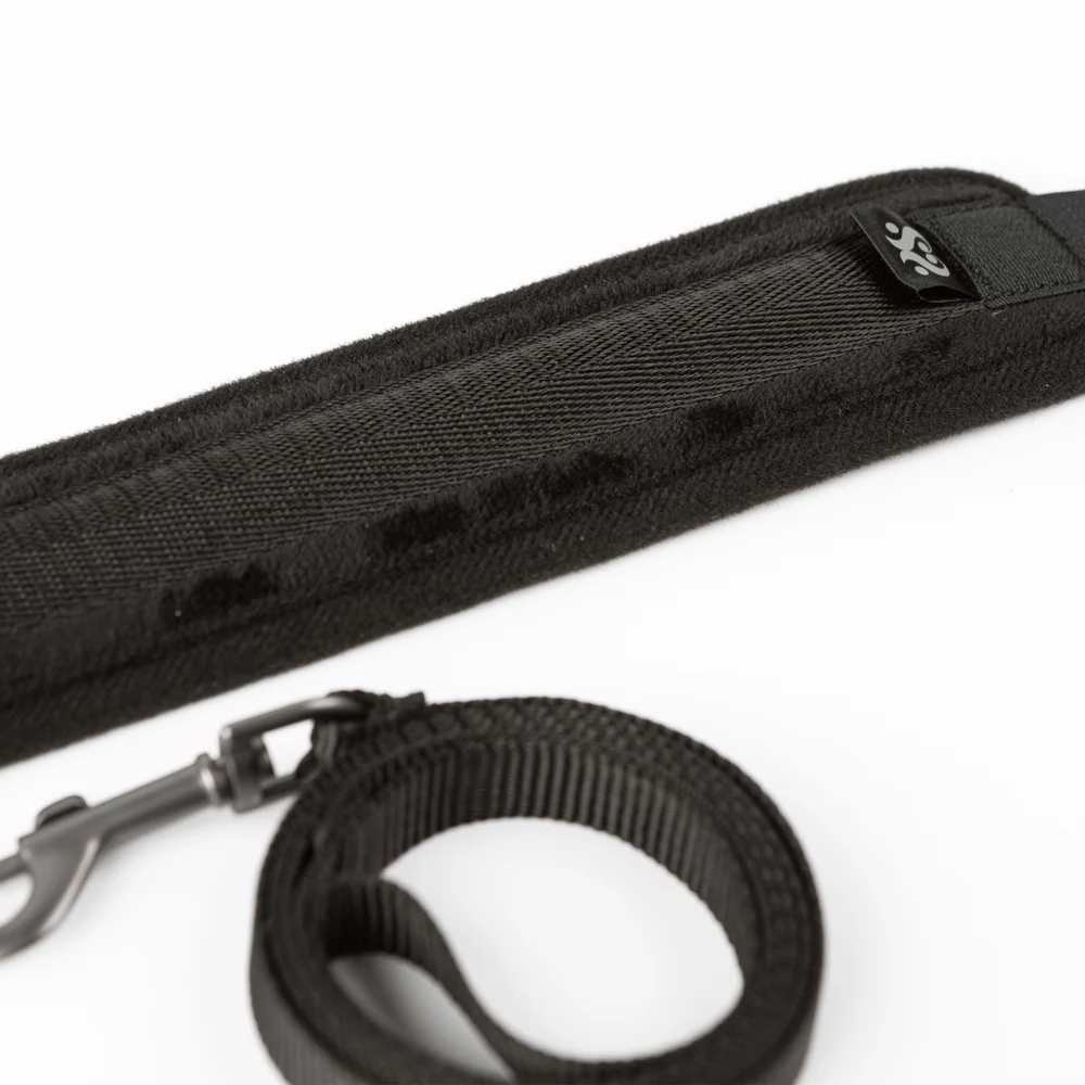 Sei Mio Take the Lead Padded Collar and Detachable Leash Set