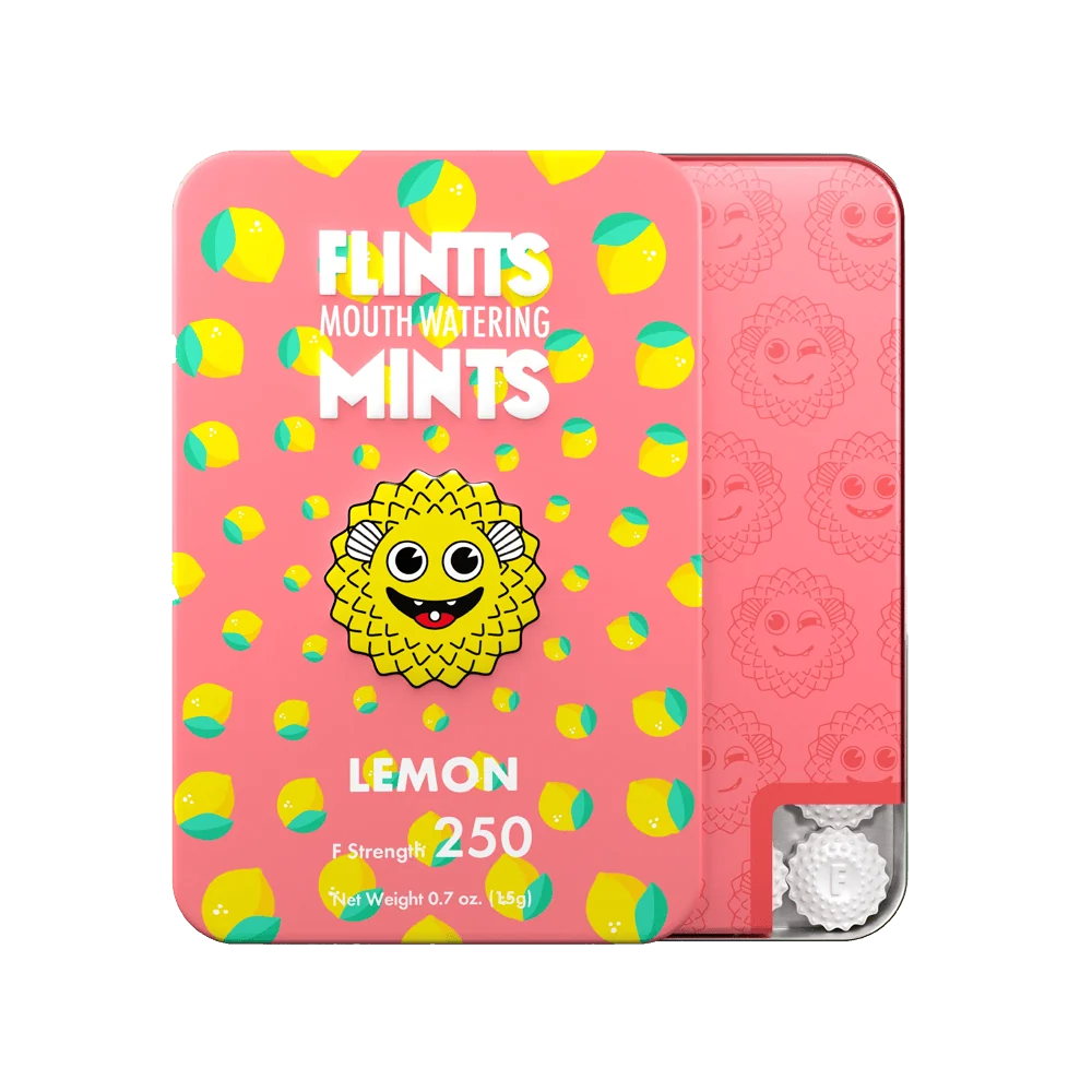 Flintts Cinnamon Ginger Mints with Warming Spice
