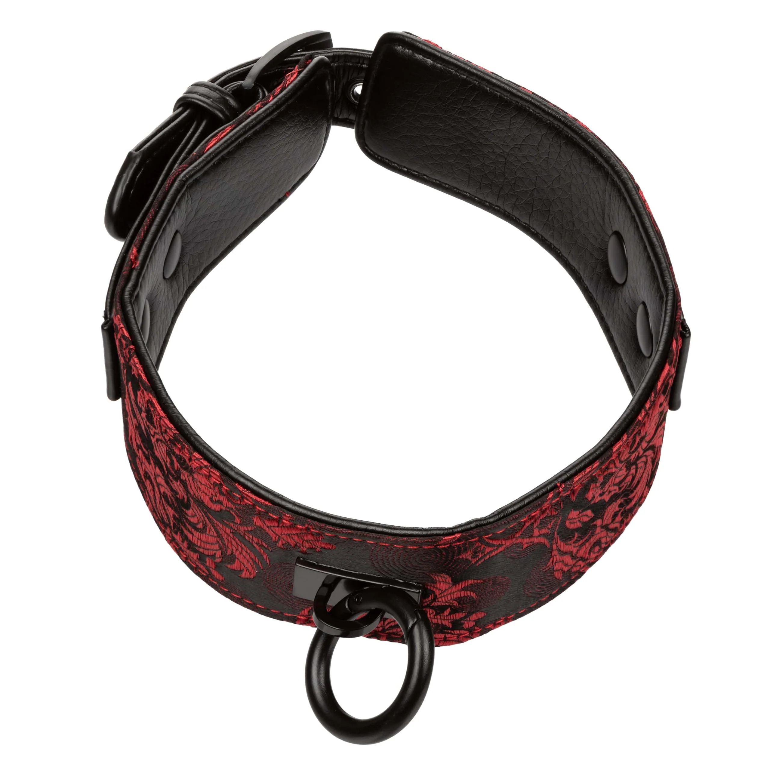 Scandal Collar with Leash for Restraint and Fetish Play