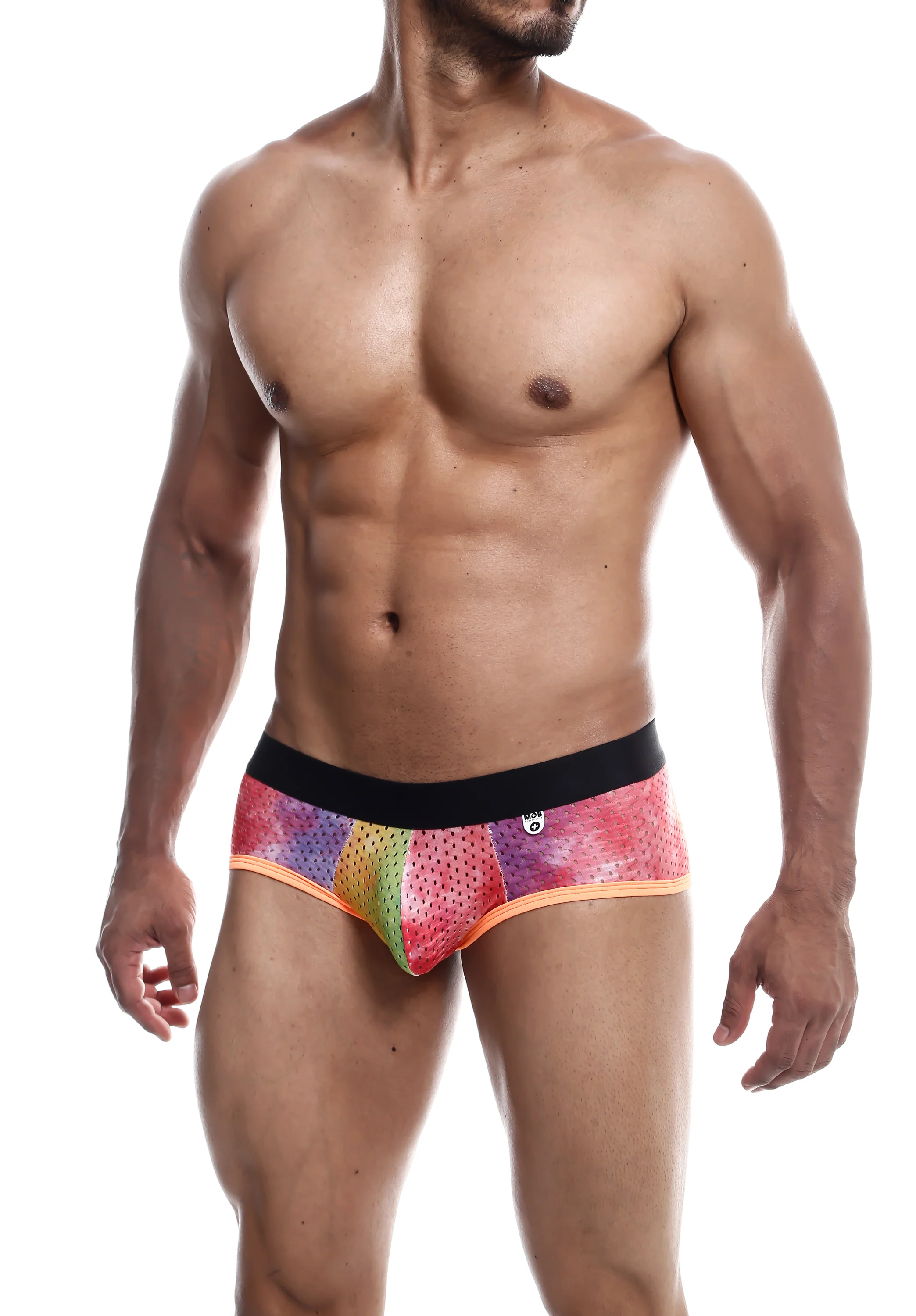 Male Basics Aero Men's Briefs in Soft Moisture-Wicking Fabric