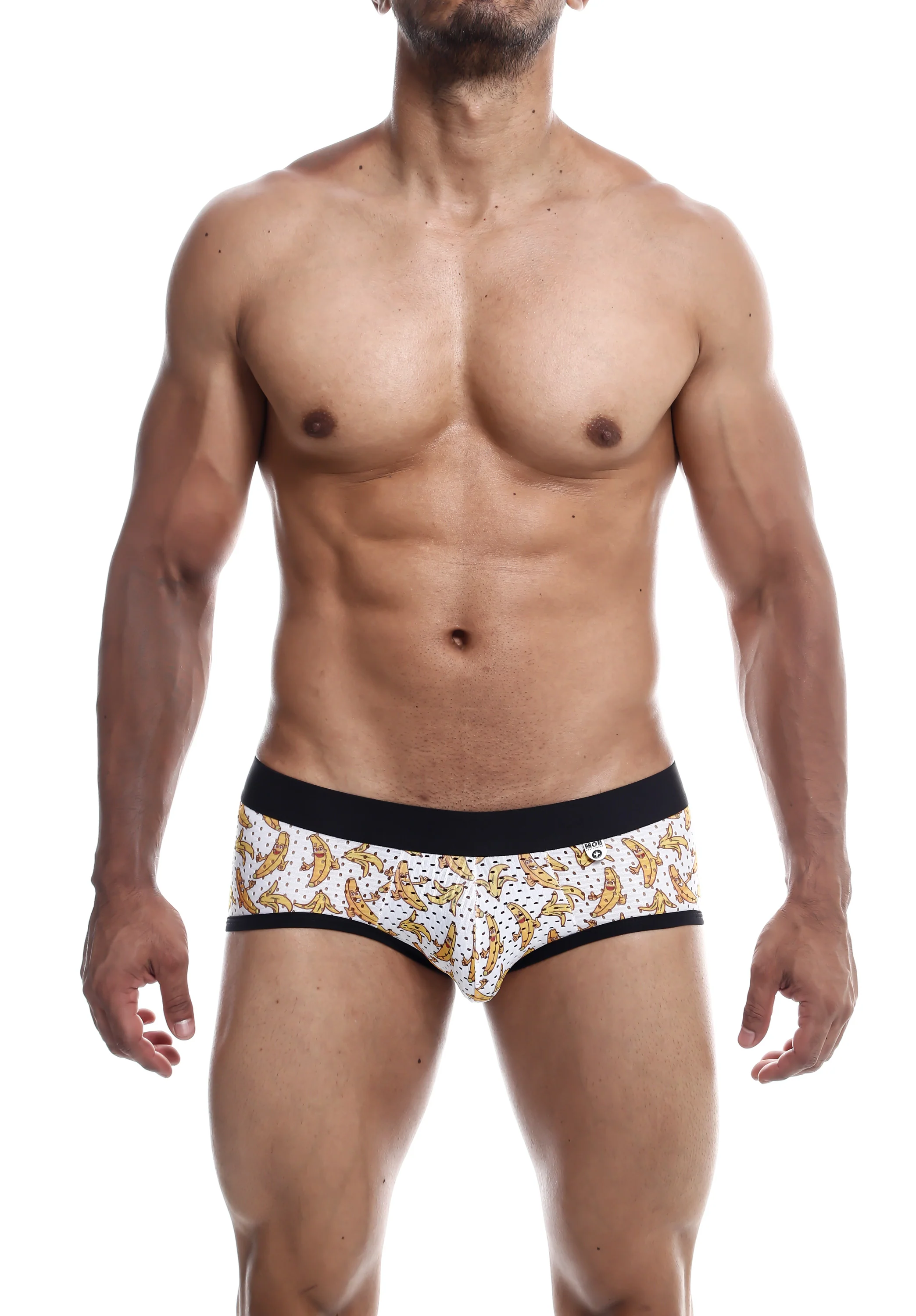 Male Basics Aero Men's Briefs in Soft Moisture-Wicking Fabric