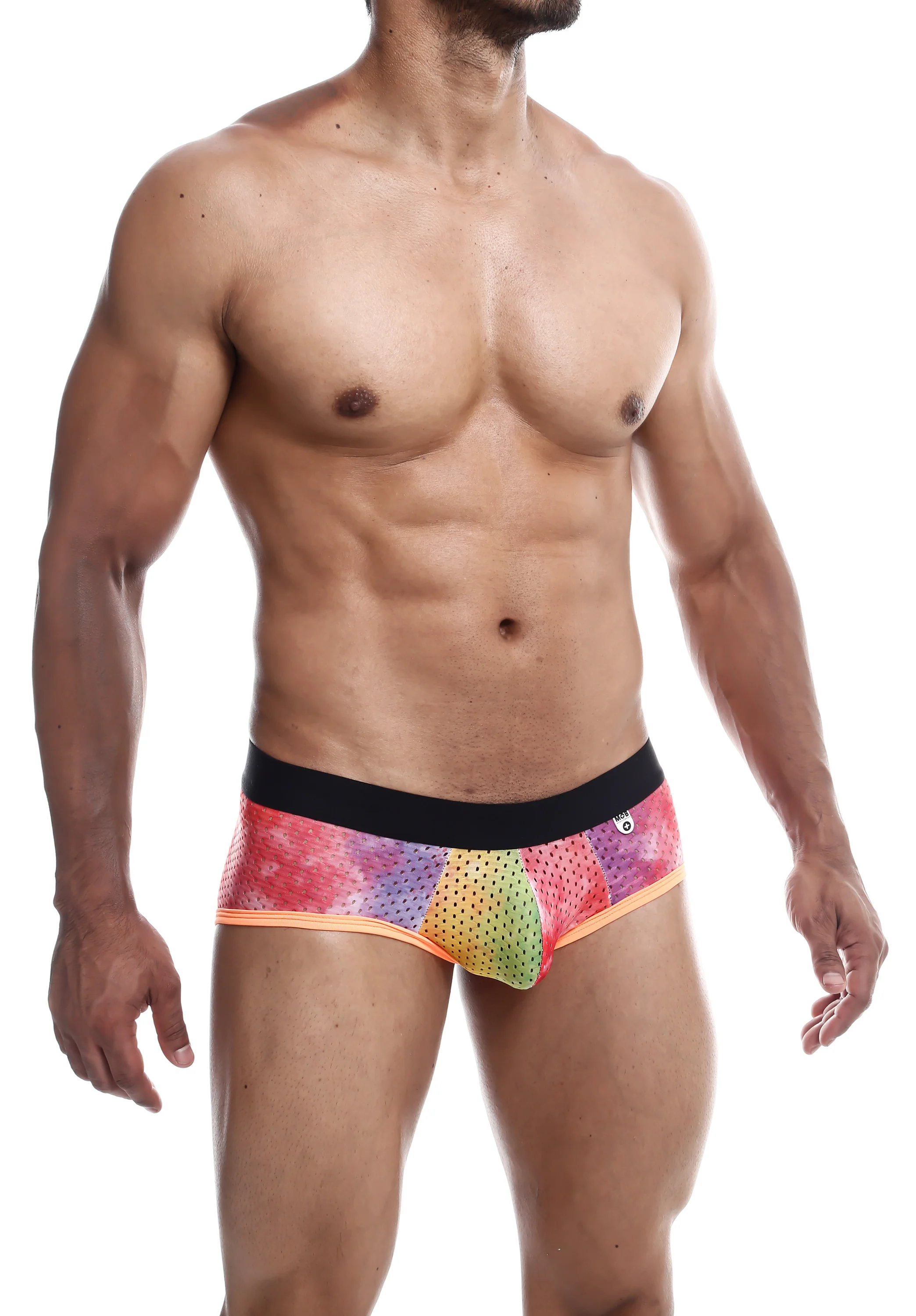 Male Basics Aero Men's Briefs in Soft Moisture-Wicking Fabric
