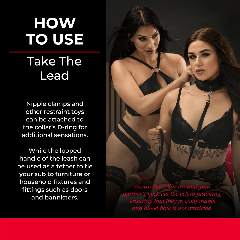 Sei Mio Take the Lead Padded Collar and Detachable Leash Set