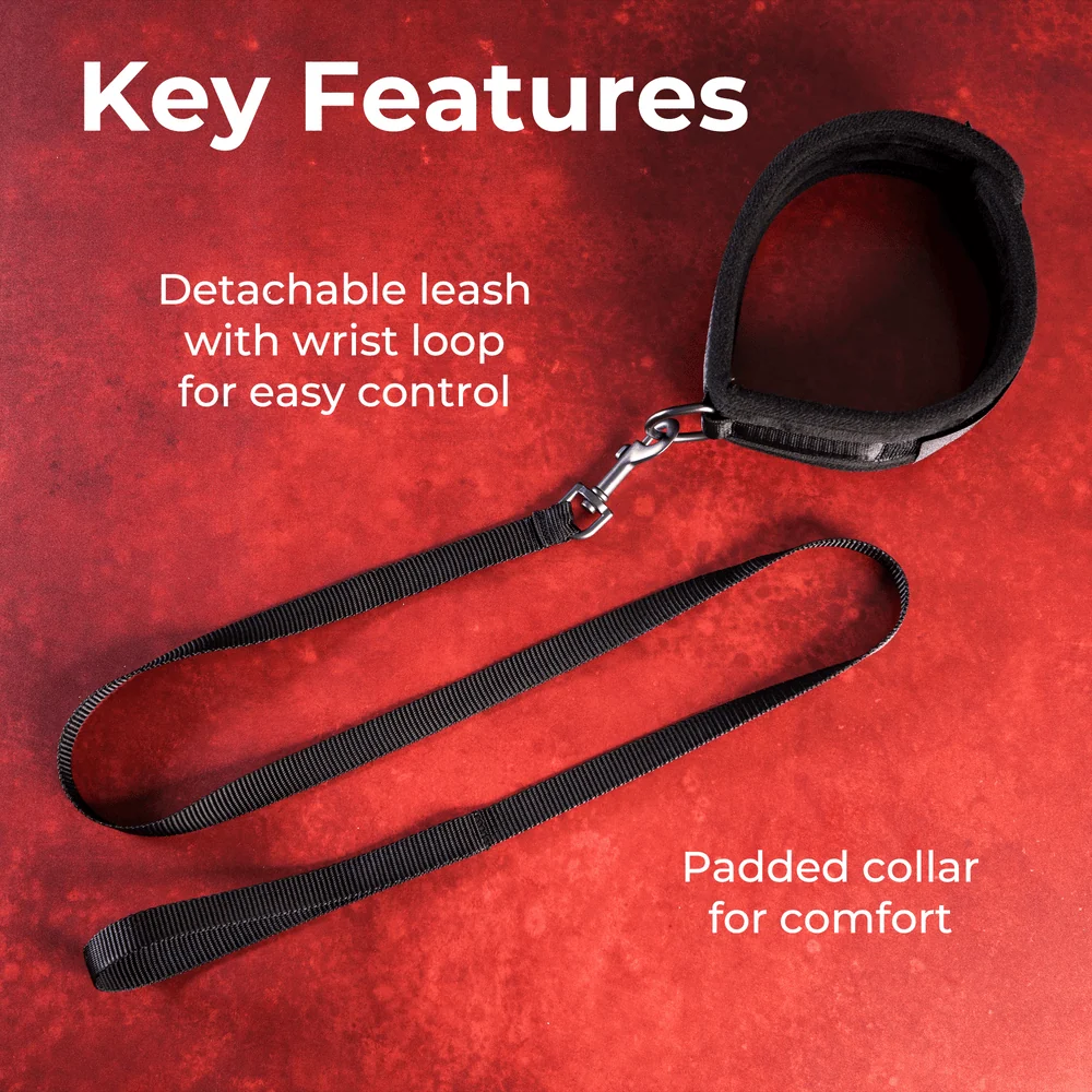 Sei Mio Take the Lead Padded Collar and Detachable Leash Set