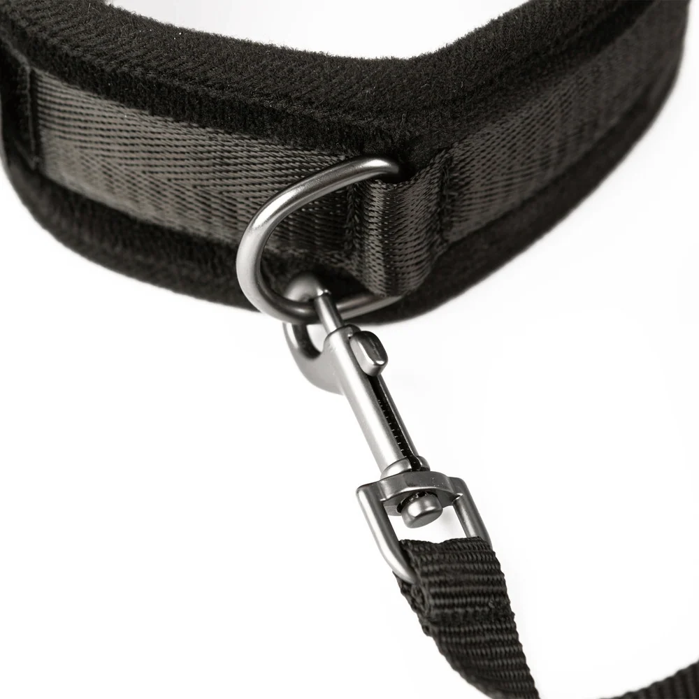 Sei Mio Take the Lead Padded Collar and Detachable Leash Set