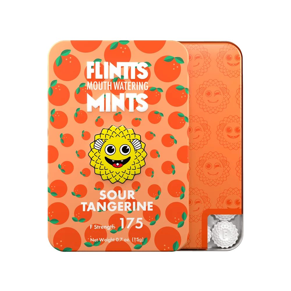 Flintts Cinnamon Ginger Mints with Warming Spice