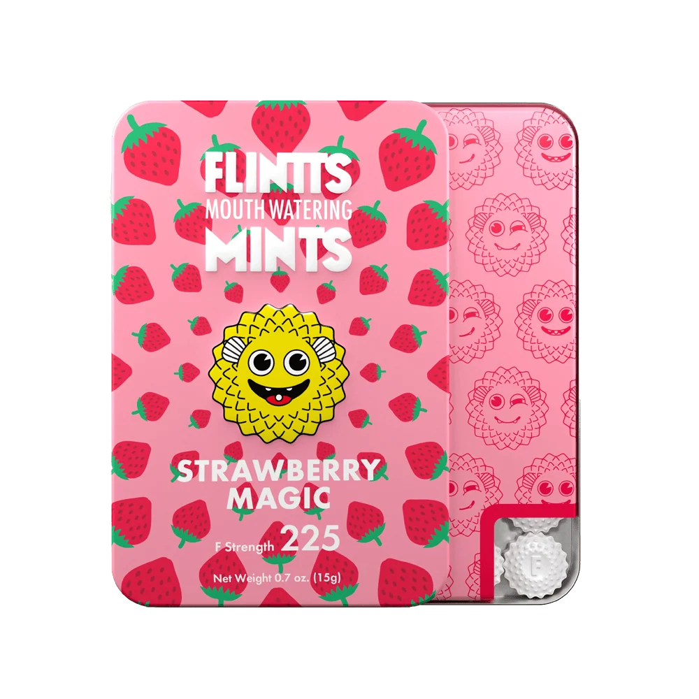 Flintts Cinnamon Ginger Mints with Warming Spice
