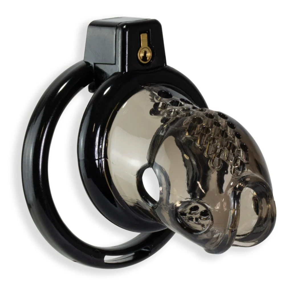 Kink Chastity Series Asylum Cock Cage for All-Day Restriction