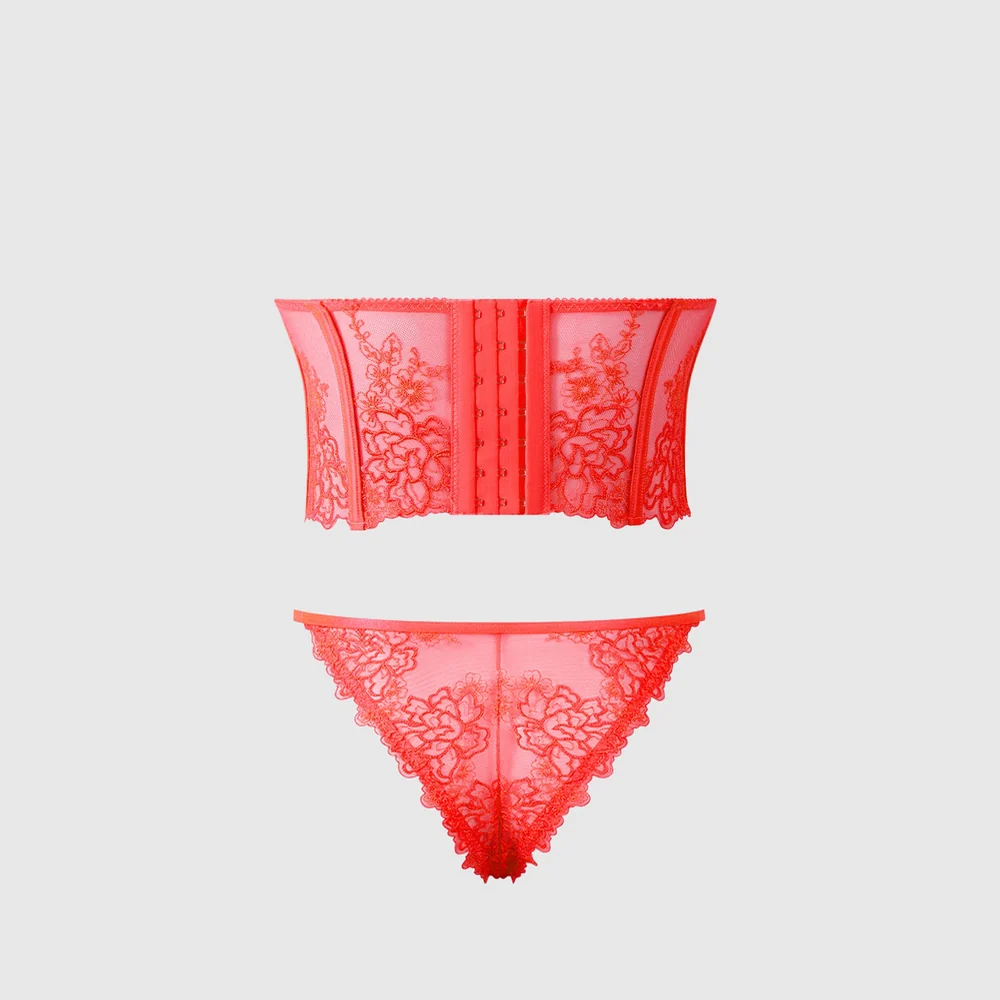 House of Desire Eden Embroidered Bustier and Tanga Set in Floral Lace