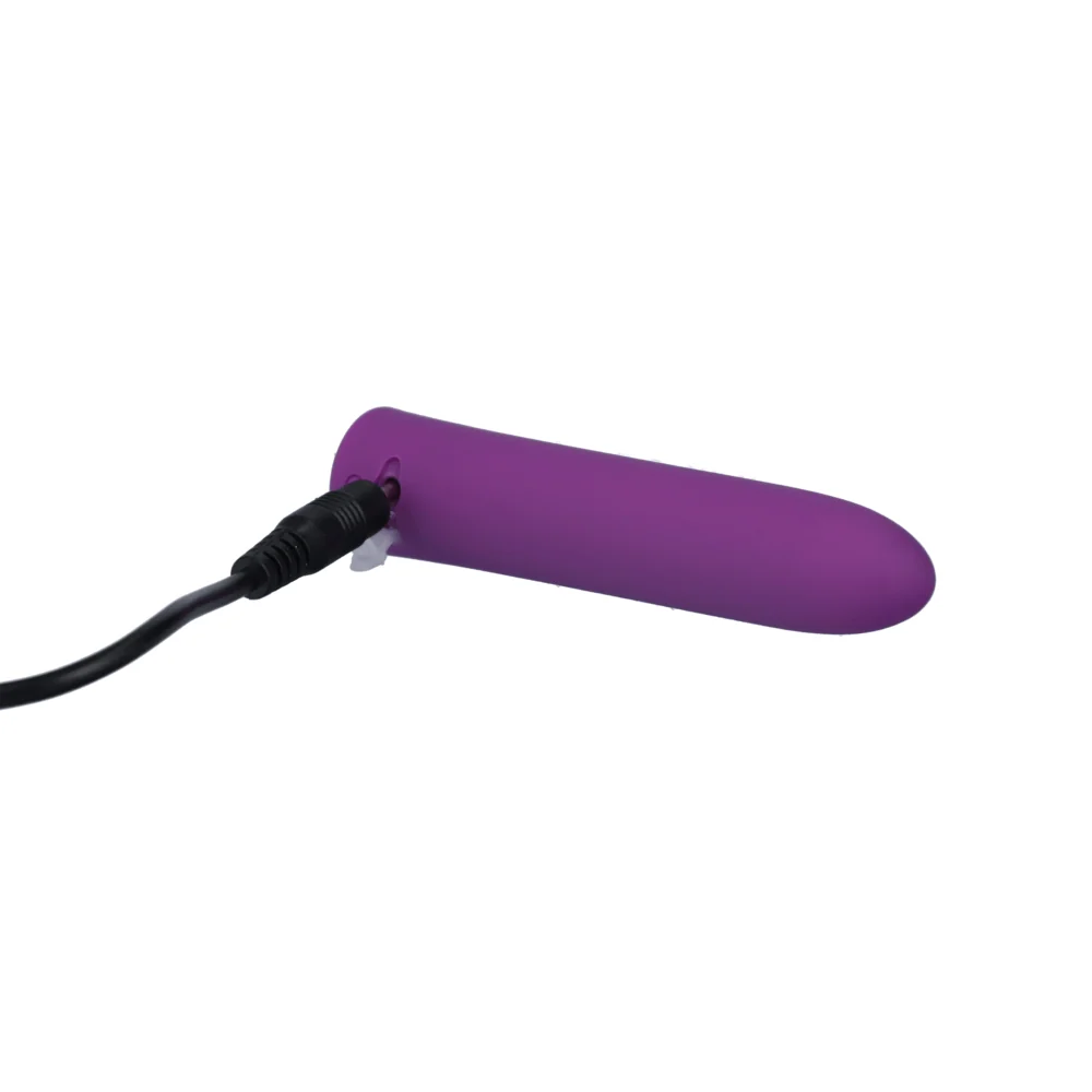Intense Power 子弹振动器 USB 充电款